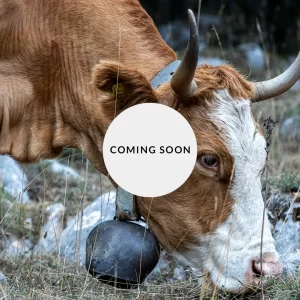 BASILICATA_thumb_soon2